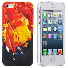 BuySKU68407 Cool Graffiti Pattern IMD Technology Hard Protective Back Case Cover Shell for iPhone 5