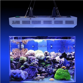 BuySKU67550 CDL-A90W Eco-friendly Rectangle Shaped White & Blue 90W LED Aquarium Light Lamp