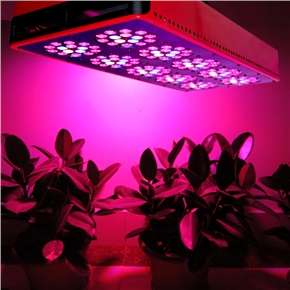 BuySKU67248 CDL-AG150x3W Eco-friendly Square Shaped High-power 150*3W LED Plant Grow Lamp Light