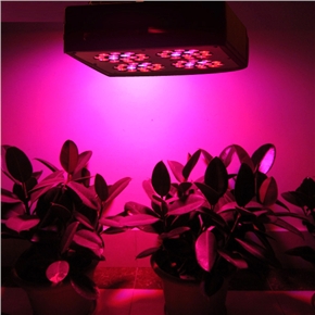 BuySKU65597 CDL-AG60x3W Eco-friendly High Power Square Shaped 60*3W LED Plant Grow Light Lamp