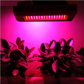 BuySKU67252 CDL-G90W Eco-friendly Square Shaped 90W LED Plant Grow Light Lamp
