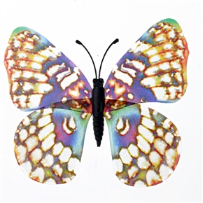 BuySKU62383 Colorful Magnetism Fluorescent Butterfly Shiny Butterfly Decoration - 10 pcs/set