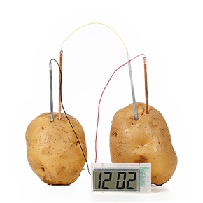 BuySKU63127 Creative Fruit or Potato Powered Digital Clock