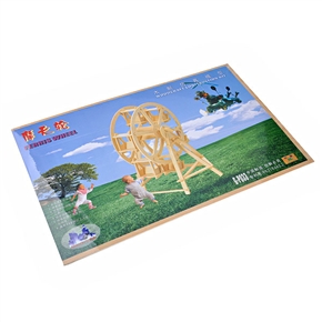 BuySKU60421 Ferris Wheel Woodcraft Construction Kit