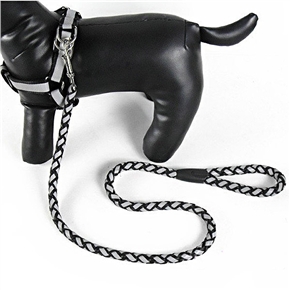 BuySKU65269 Light Reflective Pet Dog Collar Safety Chain Set with Adjustable Strap & EL Strip - Size M (Black)