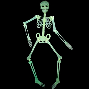 BuySKU61726 Luminous Human Skeleton Decoration for Halloween