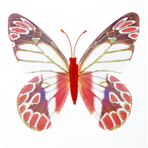 BuySKU62391 Simple Magnetism Butterfly Decoration Fluorescent Flying Butterfly - 10 pcs/set