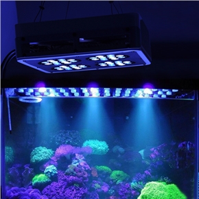 BuySKU65595 Square Blue & White 48*3W LED Aquarium Light with Hanger Bracket