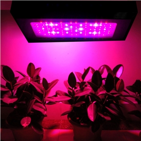 BuySKU69965 CDL-G80x3W Eco-friendly Rectangle Shaped High-power 80*3W LED Plant Grow Lamp Light
