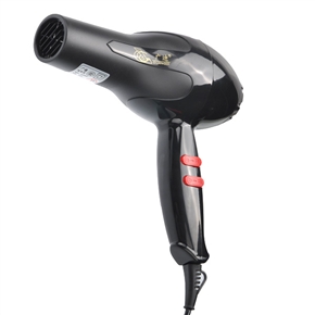 8809 High-quality 1200W Electric Hair Dryer with Concentrated Nozzle (Black)
