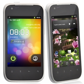 G21 MTK6513 650MHz Android 2.3 Dual SIM Quadband 3.5-inch Capacitive Screen Smartphone with WiFi GPS Dual-camera (White)